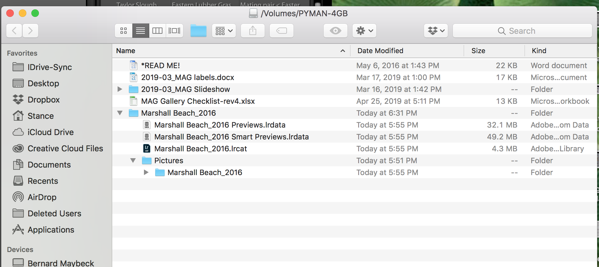 The Exported catalog contents.png